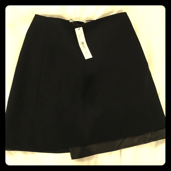 Skirt - Picture 1 of 4